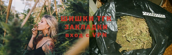 шишки Богородск