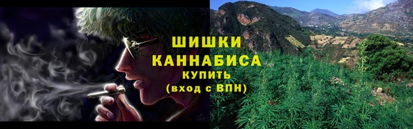 хмурый Богородицк