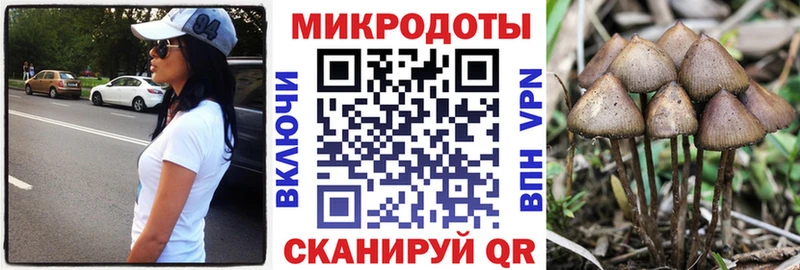 Псилоцибиновые грибы Psilocybine cubensis Грязовец